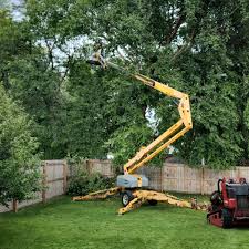 Best Lawn Grading and Leveling  in Annapolis, MD